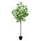 6ft. Potted Green Artificial Greco Citrus Tree with Real Touch Leaves